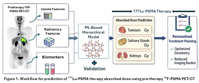 A visual abstract of the study.
