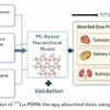 A visual abstract of the study.