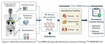 A visual abstract of the study.