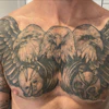 2026 06 08 Tattoos Homepage Image