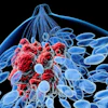 Breast Cancer Social