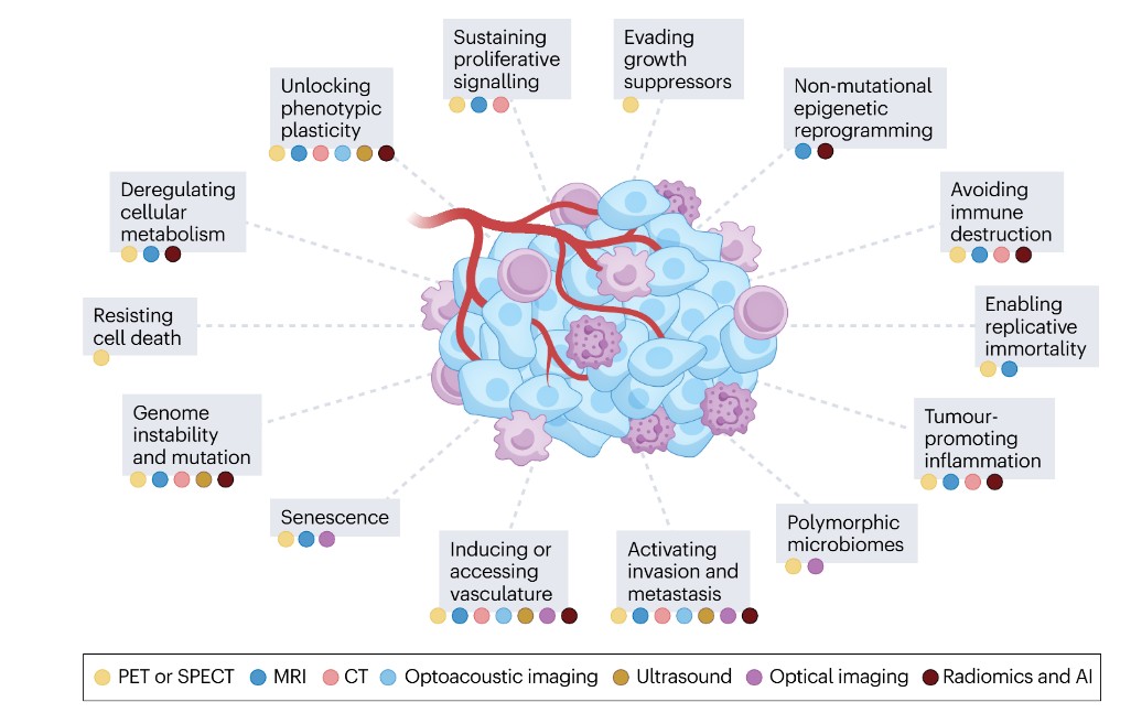Overview of the hallmarks of cancer and the imaging modalitites that are being used to assess them.