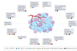 Overview of the hallmarks of cancer and the imaging modalitites that are being used to assess them.