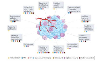 Overview of the hallmarks of cancer and the imaging modalitites that are being used to assess them.