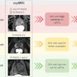 A visual abstract of the study.
