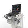 Logiq e X