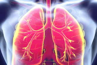 Lungs Red 400