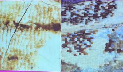 Comparison of two textured surfaces showing microscopic or aerial views with scattered dark patterns and staining